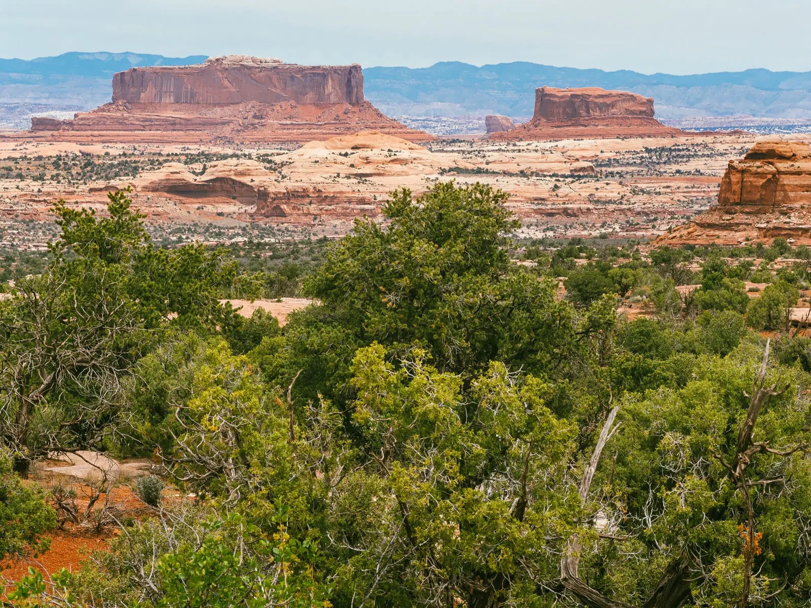 Big Mesa Moab